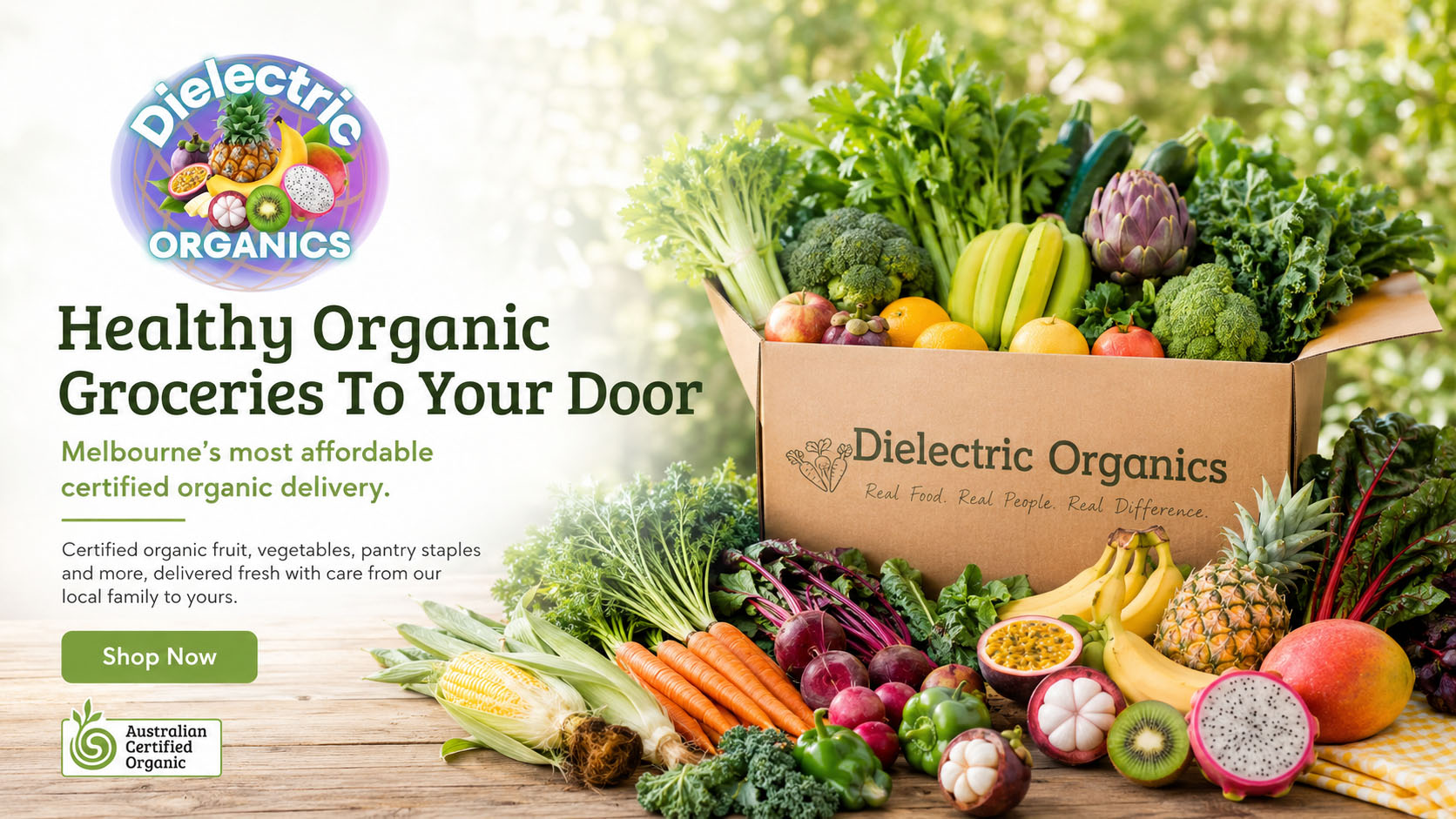Dielectric Organics, Meta + Google Ads, Ecommerce Scaling: Digital Marketing by Bleo