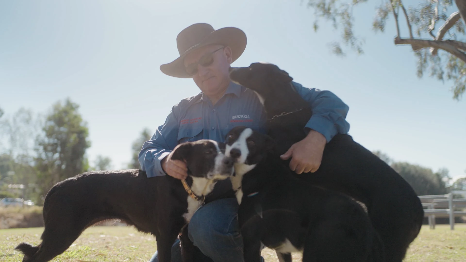 Still from the Abundance Financial, Buckol Working Dogs film by Bleo