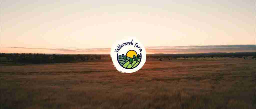 Still from the Yallamundi Farm film by Bleo