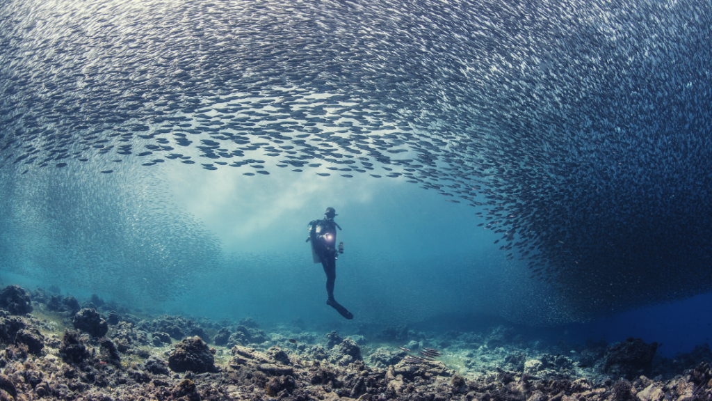 Digital Marketing is like an Evolving Ecosystem