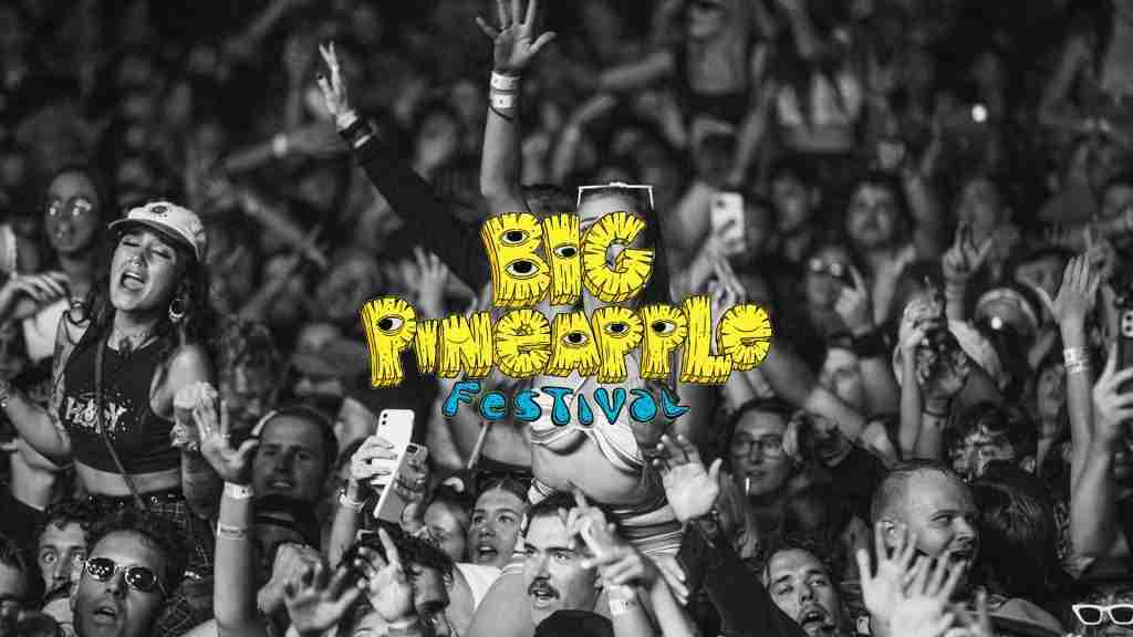 Photo from the Big Pineapple Festival shoot by Bleo