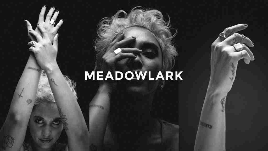 Photo from the Meadowlark Jewellery shoot by Bleo