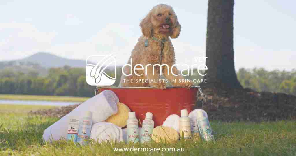 Still from the Dermcare film by Bleo